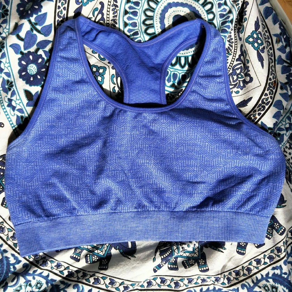 Blue purple sports bra